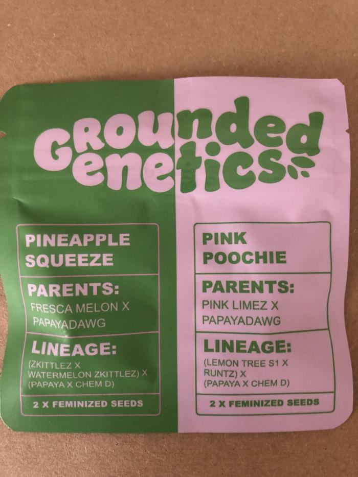 Pineapple Squeeze 🍍. Week 0