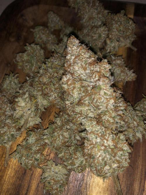 Cheese Auto 🧀. Week 11