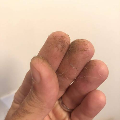 The 1 Liter Pot Experience. Week 11