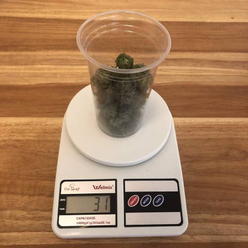 The 1 Liter Pot Experience. Week 11