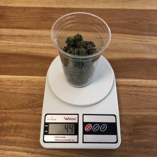 The 1 Liter Pot Experience. Week 11