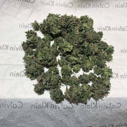 The 1 Liter Pot Experience. Week 11