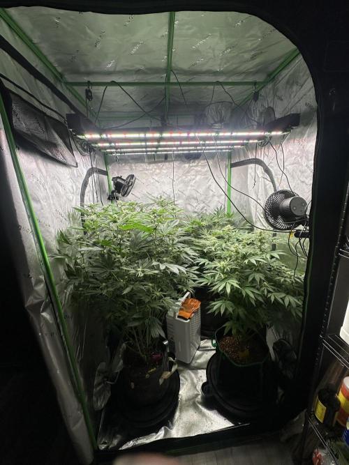 42 Fast Buds 🔥. Week 10