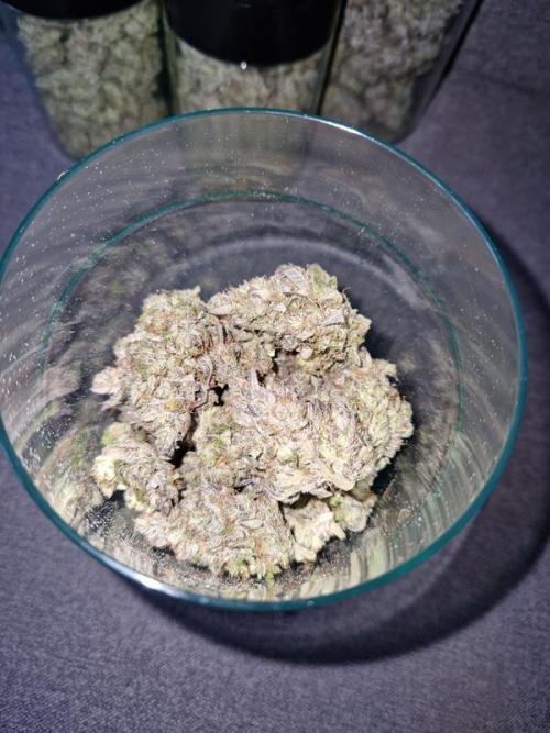 Frostbanger Auto. Week 10