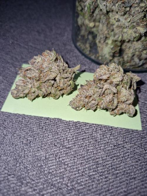 Frostbanger Auto. Week 10