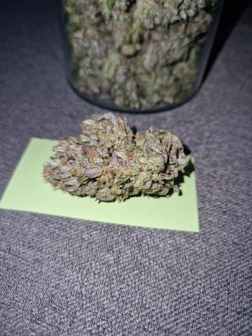 Frostbanger Auto. Week 10