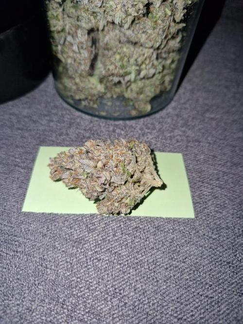 Frostbanger Auto. Week 10