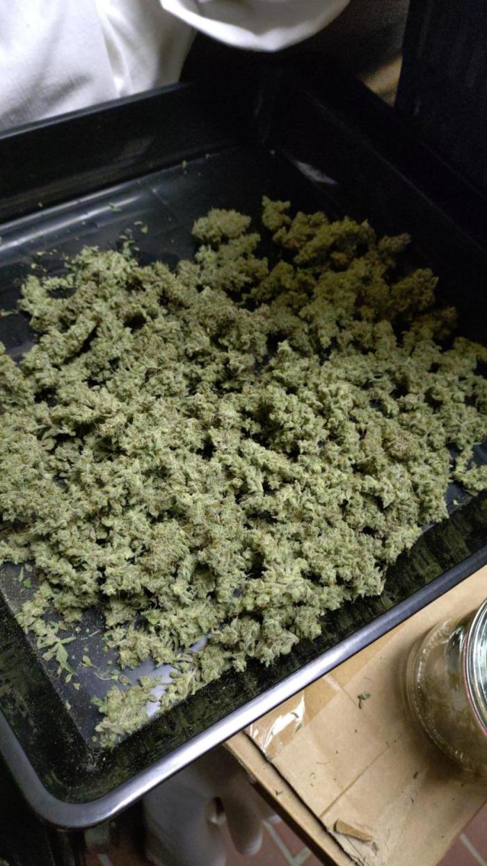 First Indoor. Week 14 - Trockengewicht 45g