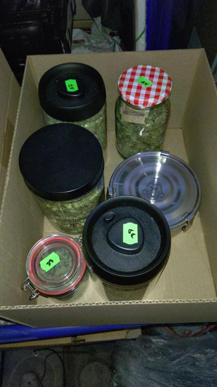 First Indoor. Week 14