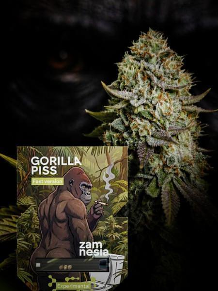 Zamnesia Experimental #gorilla piss fast. Week 1