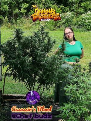 Comment by CannaBrothersPodcast photo #1