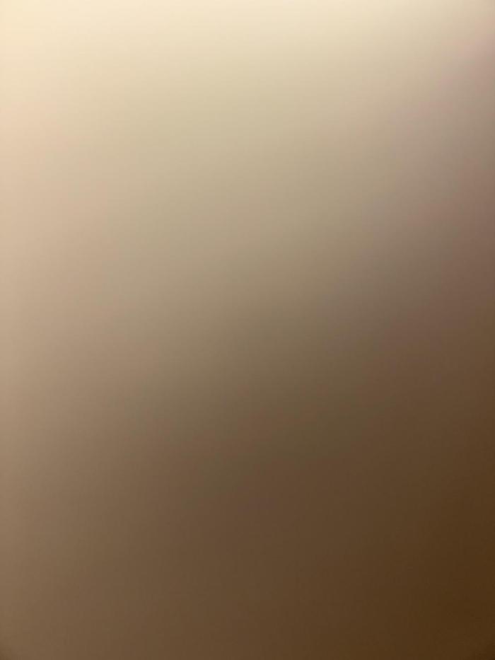 First grow. Week 12 - Don’t have any pics of the harvest either. SO sorry!!