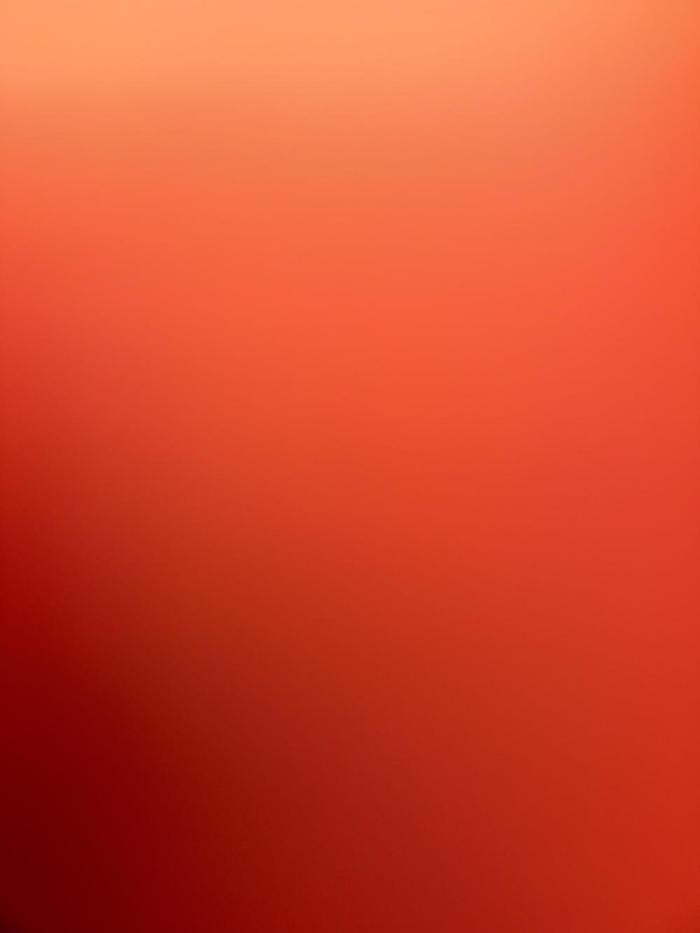 Pink Rozay Automatically Delicious. Week 13 - I didn’t save any pics of the harvest, I just wanted to mark it  as finished