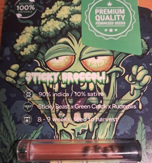 Sticky Broccoli - Eternity Grow Cup 26. Week 0