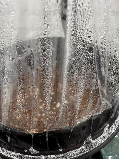 Hermana de la Noche - Super Strains. Week 1