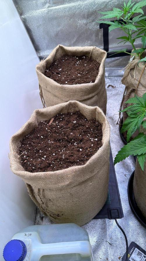 FastBuds42 Seedtest. Week 0 - Vorbereitet