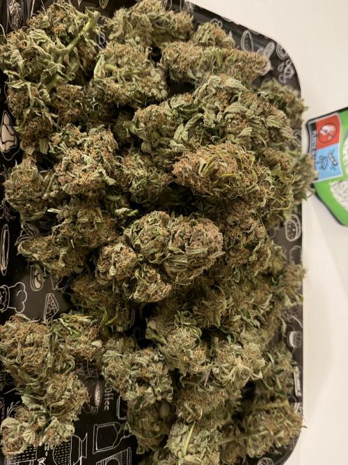 420 Fast Buds. Week 11