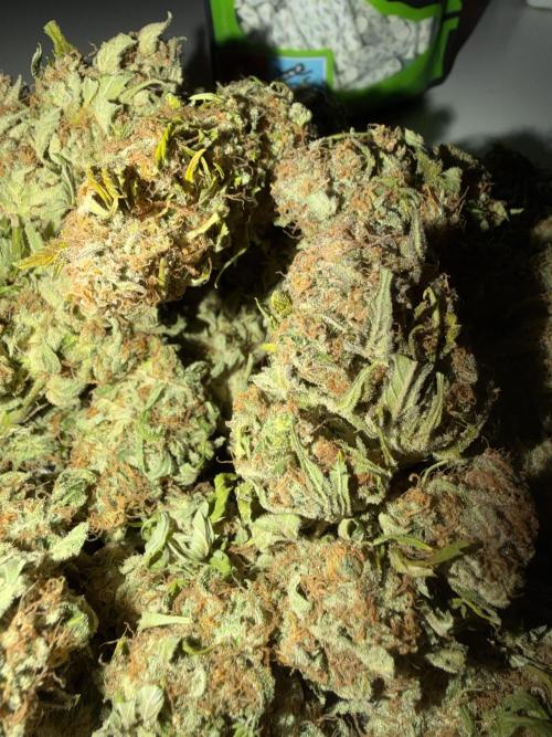 420 Fast Buds. Week 11