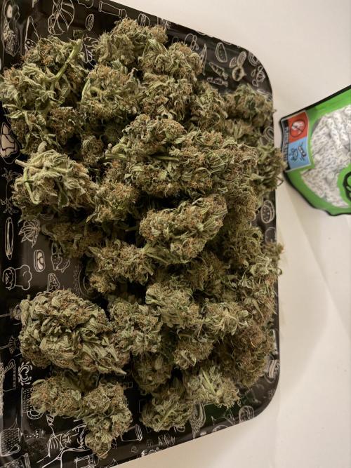 420 Fast Buds. Week 11