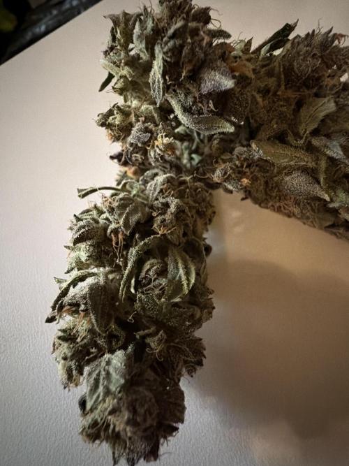 420 Fast Buds. Week 13