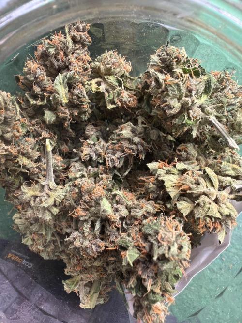 420 Guava Sandea+ Banana Cherry Cookies. Week 13
