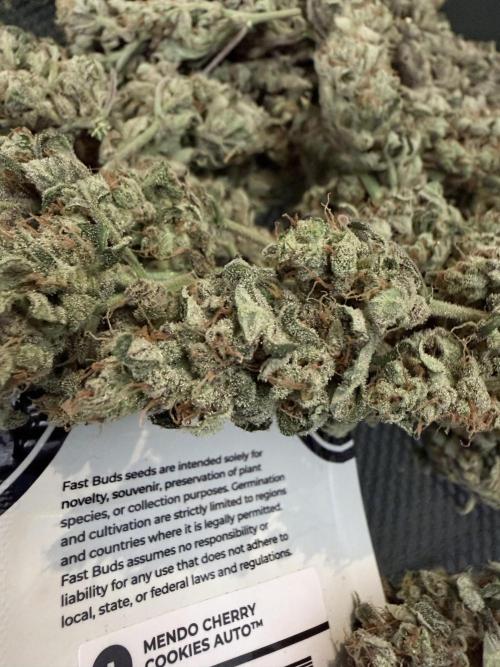 FastBuds MSRA&BSCA. Week 11
