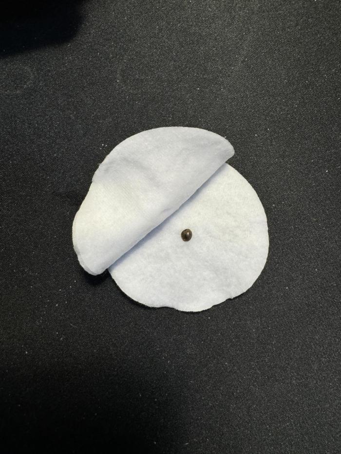 Amnesia Z Auto (FastBuds), 30x30x60, 50W. Week 0