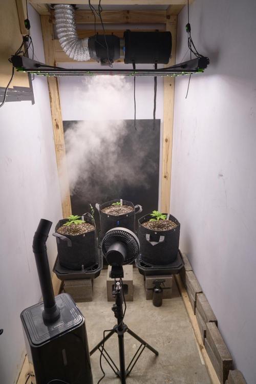 Candyland 2025. Week 3 - New Grow Room In Progress