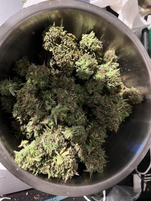 Strawberry Banana Auto. Week 11