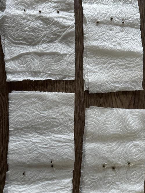 The Limited Edition Run. Week 0