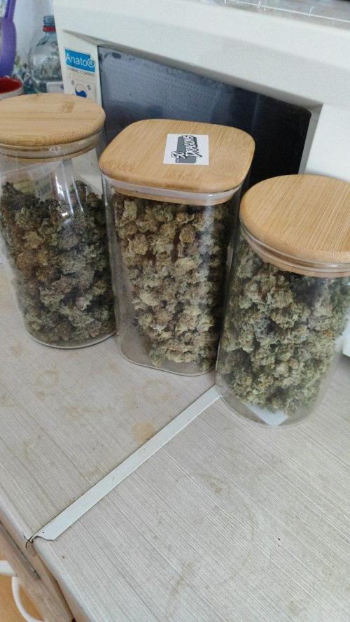 UKHTA (bonus unknown seed). Week 15