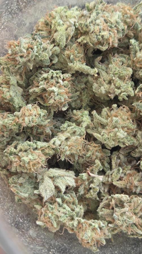 Schweppez. Week 15