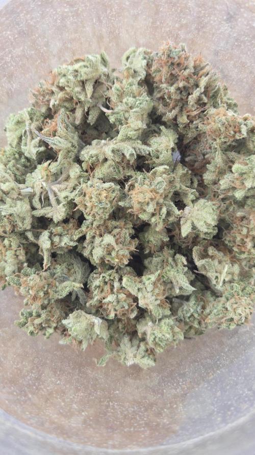 Schweppez. Week 15