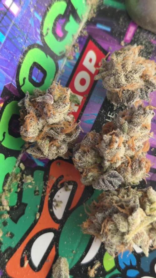 Apple Fritter