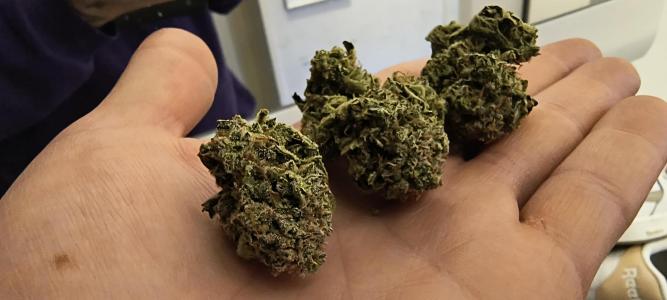 Comment by BennyBud2210 photo #1