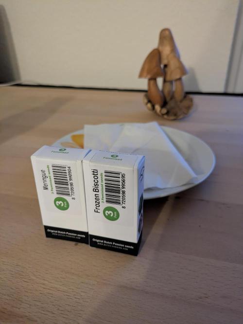 3x Meringue,3x Frozen Biscotti/LST/toped. Week 0