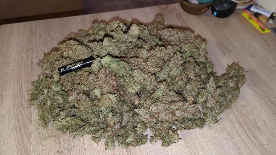 5x Hawaiian Snow/ topped / LST