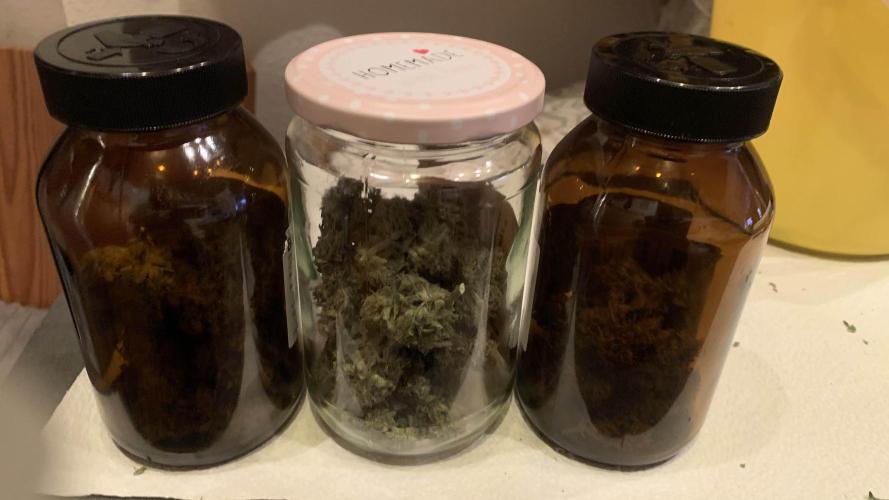 1st Grow | Afgahn Kush Automatic. Week 9