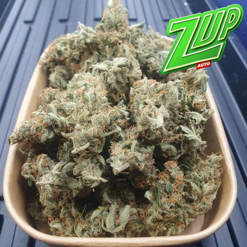 Zup Auto test grow. Week 11 - Zup 2