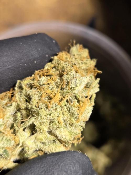 Zup Auto test grow. Week 11