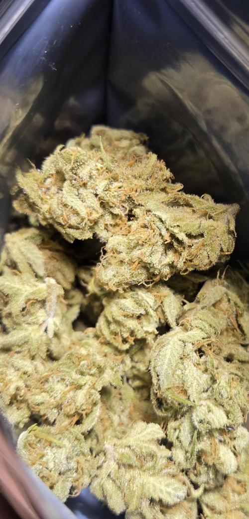 Zup Auto test grow. Week 11