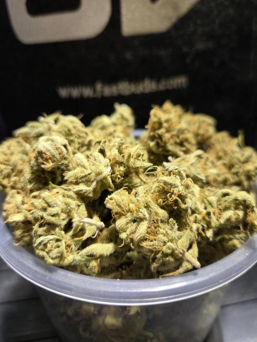 Zup Auto test grow. Week 11 - Zup 1