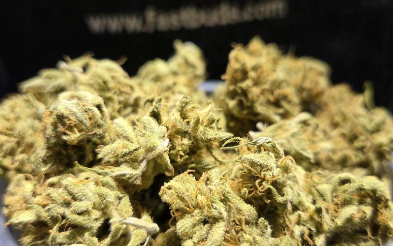 Zup Auto test grow. Week 11 - Zup 