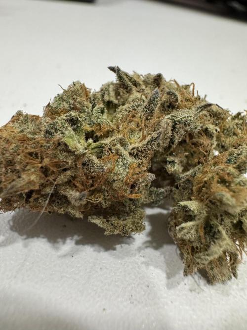 Poor #3 clones ICE Cream King. Week 7