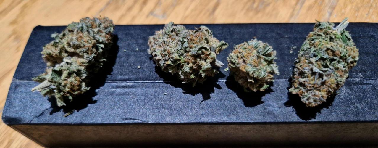 Orange bud 2.0. Week 18