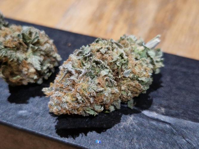 Orange bud 2.0. Week 18