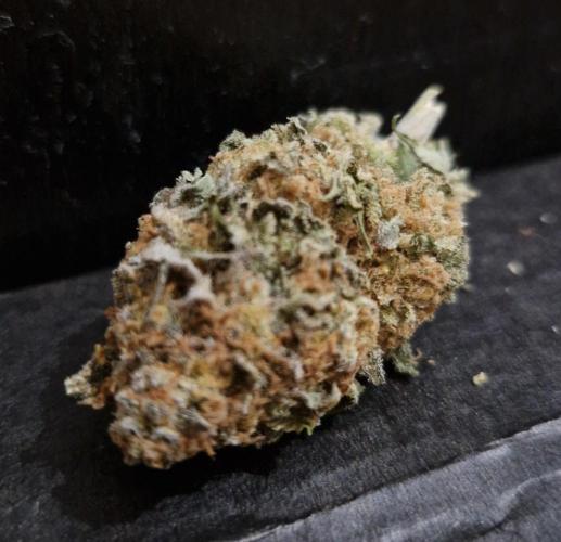 Orange bud 2.0. Week 18