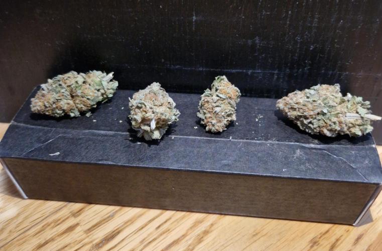 Orange bud 2.0. Week 18