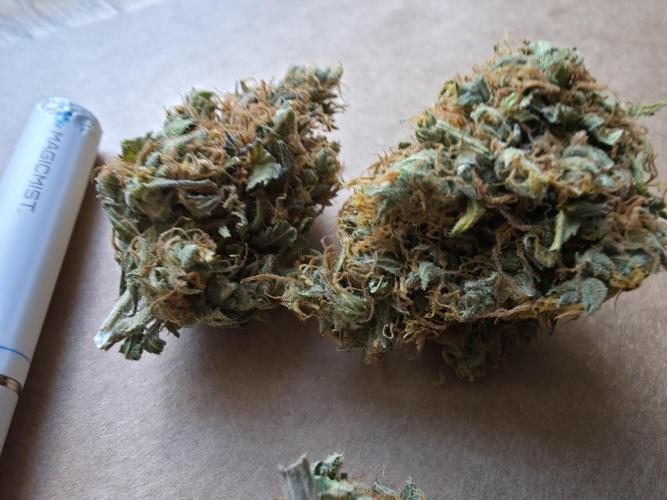 Ice cream haze. Week 16