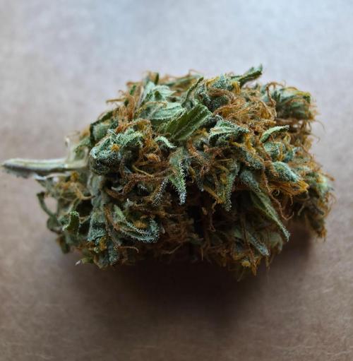 Ice cream haze. Week 16